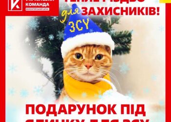 Тепле Різдво для захисників! Подарунок під ялинку для ЗСУ