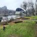 У парку Глоби масово пилять дерева (ФОТО)