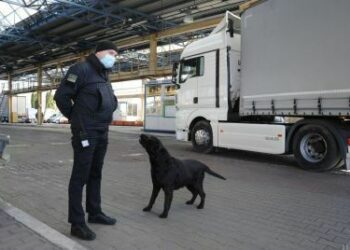 На українсько-польському кордоні через збій в роботі системи “Шлях” утворилися черги з вантажівок та автобусів