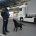 На українсько-польському кордоні через збій в роботі системи “Шлях” утворилися черги з вантажівок та автобусів