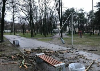 Внаслідок негоди в одному зі скверів Дніпра впало дерево та постраждав ліхтар