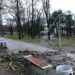 Внаслідок негоди в одному зі скверів Дніпра впало дерево та постраждав ліхтар