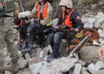 У Павлограді водій маршрутки не пустив до салону відомих пошукових собак