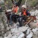 У Павлограді водій маршрутки не пустив до салону відомих пошукових собак
