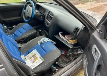 У Кам`янському районі поліцейські затримали 22-річного серійного крадія
