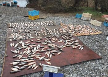 На березі Карачунівського водосховища рибоохоронний патруль виявив 1,7 тонни «нічийної» риби (ВІДЕО)