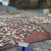 На березі Карачунівського водосховища рибоохоронний патруль виявив 1,7 тонни «нічийної» риби (ВІДЕО)