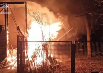 У гаражі Синельниківського району згоріли поросята