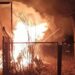 У гаражі Синельниківського району згоріли поросята