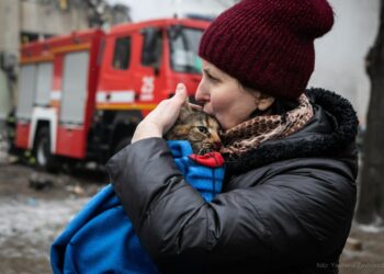 З’явилося відео порятунку пухнастика Кузі із 7-го поверху зруйнованого будинку