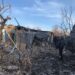 Поліція показала фото наслідків обстрілів Нікопольщини