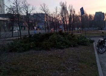 У Дніпрі на ж/м Перемога знайшли гору кинутих ялинок