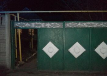 У Підгородному син завдав матері смертельні травми