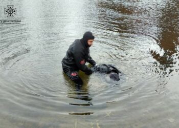 Сьогодні зранку у водоймі Дніпра виявили тіло чоловіка