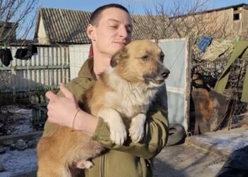 У бійців ТрО Дніпра свій Патрон: поранений чотирилапий втік з позицій окупантів