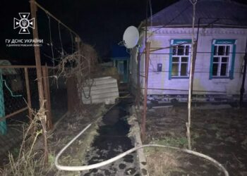 У П’ятихатках на пожежі загинула власниця будинку