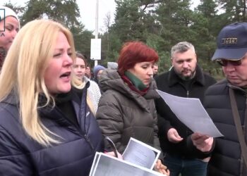 Незаконна вирубка лісу. У Дніпрі спиляли 42 червонокнижних дерева