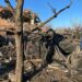 Фото наслідків ракетного обстрілу Павлограду від поліції