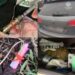 У Кривому Розі виявили авто із гранатою та наркотиками