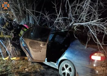 Смертельна ДТП у Синельниківському районі: загинув чоловік та постраждали четверо малюків