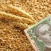 У Дніпрі викрили шахраїв, які обдурили підприємців на десятки мільйонів гривень