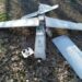 «Орлан-10», «Supercam S350» та «Ланцет-3»: ЗСУ ліквідували у нашому небі три різні дрони