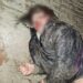 У Дніпрі на Передовій знайшли зґвалтовану жінку