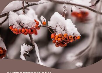 Ніч на Дніпропетровщині була тихою