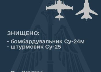 На сході країни знищено дві ворожі “пташки”