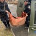 Після ворожих обстрілів Марганця поліцейські врятували з-під завалів поранених собак