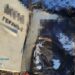 Атака дронами енергетичних об’єктів області: прокуратура показала перші фото із наслідками