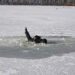 З початку року на водоймах області загинуло 7 людей, з яких 2 дитини