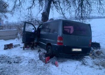 У Кам’янському районі автівка влетіла в дерево