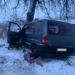 У Кам’янському районі автівка влетіла в дерево