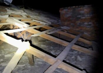 Нікопольщина знову опинилася під ворожим вогнем