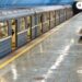 На всіх станціях метро у Дніпрі запрацював 4G