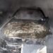У Дніпрі в приватному гаражі згоріли дві автівки