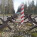 Польща почала облаштовувати протитанкові загородження на кордоні з рф та білоруссю 