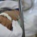 У лікарні Дніпра рятують чоловіка, якого побили металевою трубою підлітки