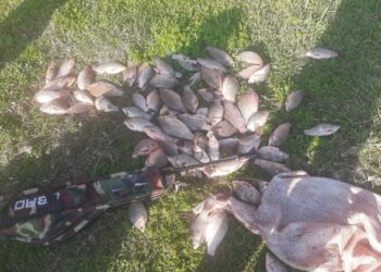 У Каховському водосховищі на Криворіжжі незаконно виловили риби на понад 130 тисяч гривень