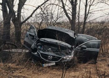 На Запорізькому шосе авто злетіло з дороги: є троє постраждалих