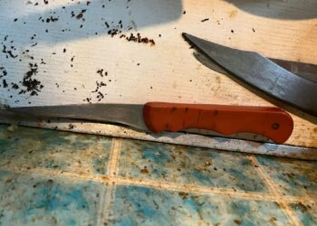 Моторошне вбивство на Софії Ковалевської: подробиці від поліції