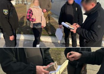 Дніпрянка намагалася дати хабар поліцейським, аби незаконно поставляти на Донеччину алкоголь