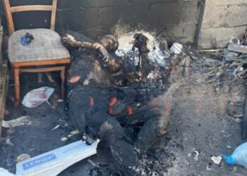 У Дніпрі виявили обгоріле людське тіло (ФОТО 18+)