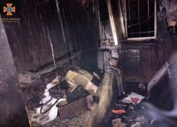 У Новомосковському районі на пожежі жінка отримала опіки рук