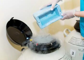 Захисники та захисниці ЗСУ зможуть безкоштовно зберігати свої репродуктивні клітини у кріобанках