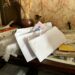 У Покрові  “липова” соцпрацівниця пограбувала 91-річних дідуся та бабусю