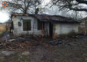 На пожежі в Орлівщині загинула 85-річна бабуся