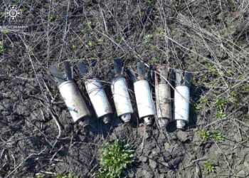 Сьогодні піротехніки знищили десяток боєприпасів у Кам’янському та на Криворіжжі