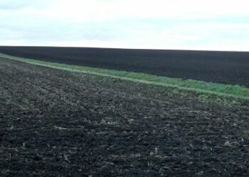 На росії почали продавати вкрадений в Україні плодородний чорнозем
